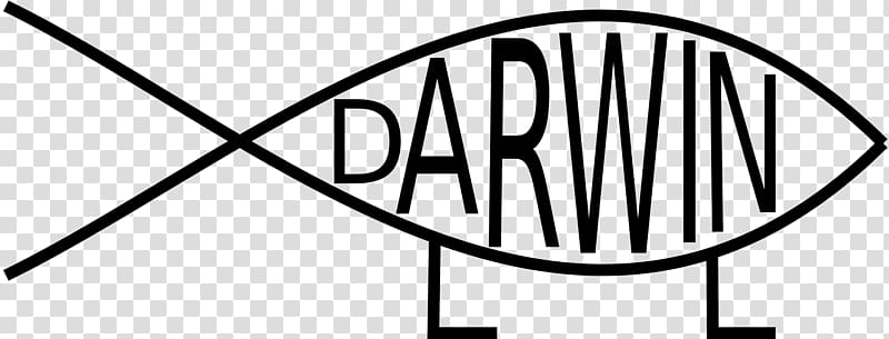 Darwin Darwin Evolution , walking people transparent background PNG clipart