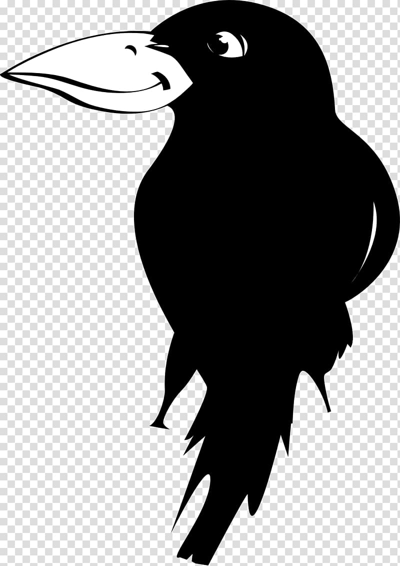 Bird Carrion crow Owl, crow transparent background PNG clipart