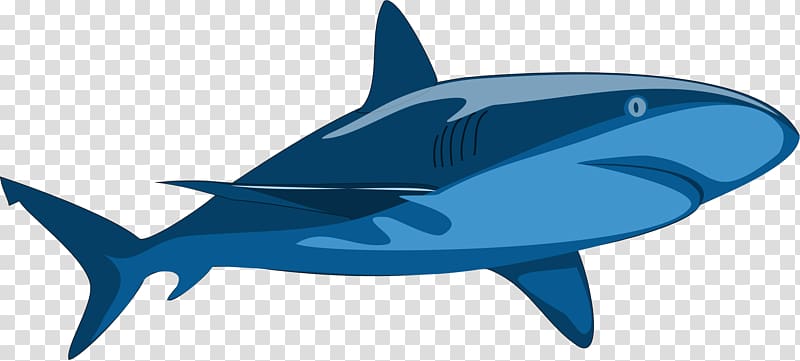 Shark Jaws , shark transparent background PNG clipart