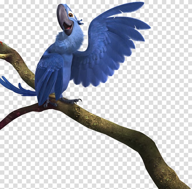 Blu Rio , parrot transparent background PNG clipart