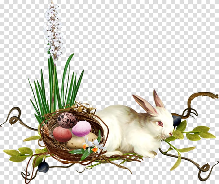 Easter Bunny , elephant rabbit transparent background PNG clipart