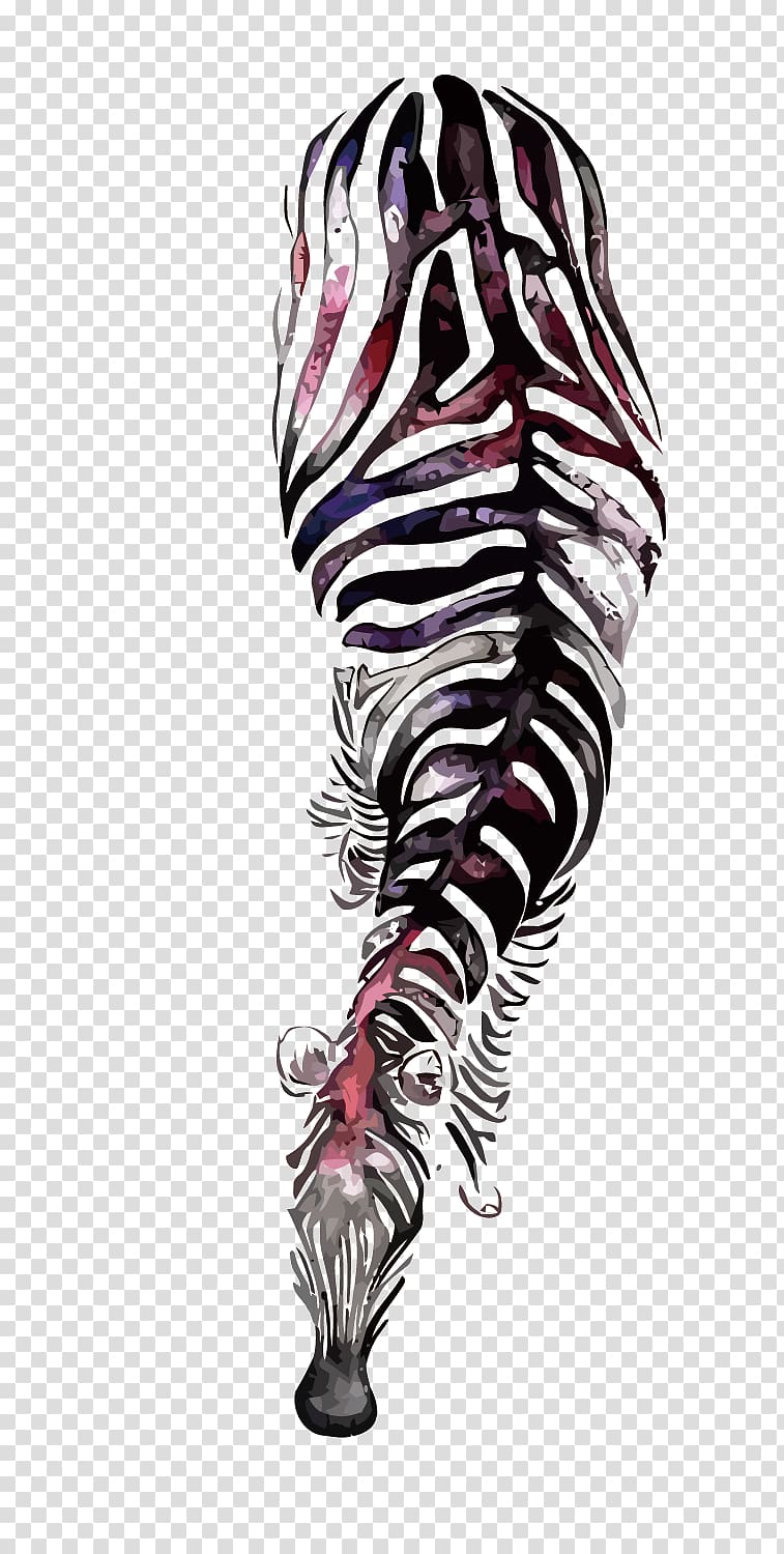 Zebra Watercolor painting Illustration, zebra transparent background PNG clipart