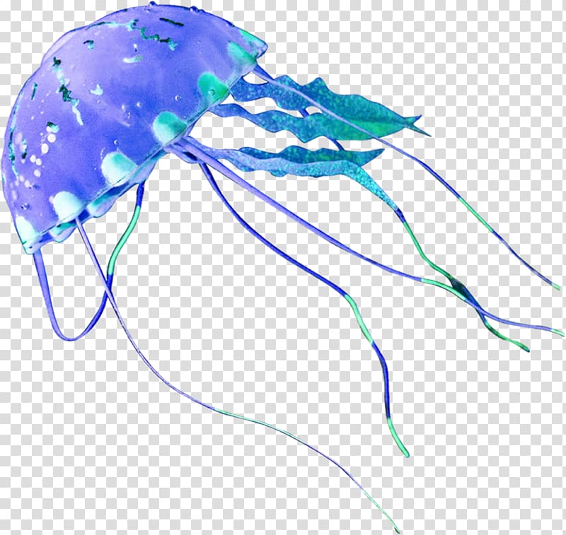 Jellyfish Marine invertebrates Graphic design, others transparent background PNG clipart