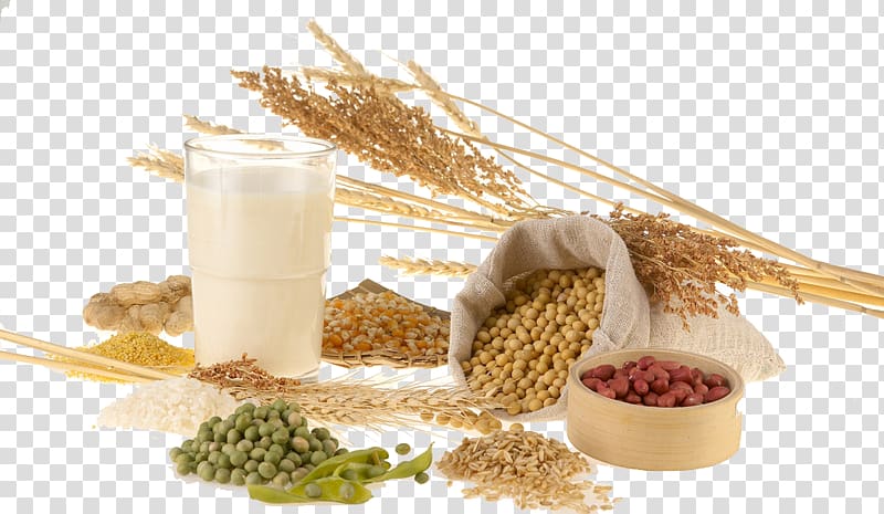 Dietary supplement Food Nutrition Cereal Eating, Autumn Harvest Food transparent background PNG clipart