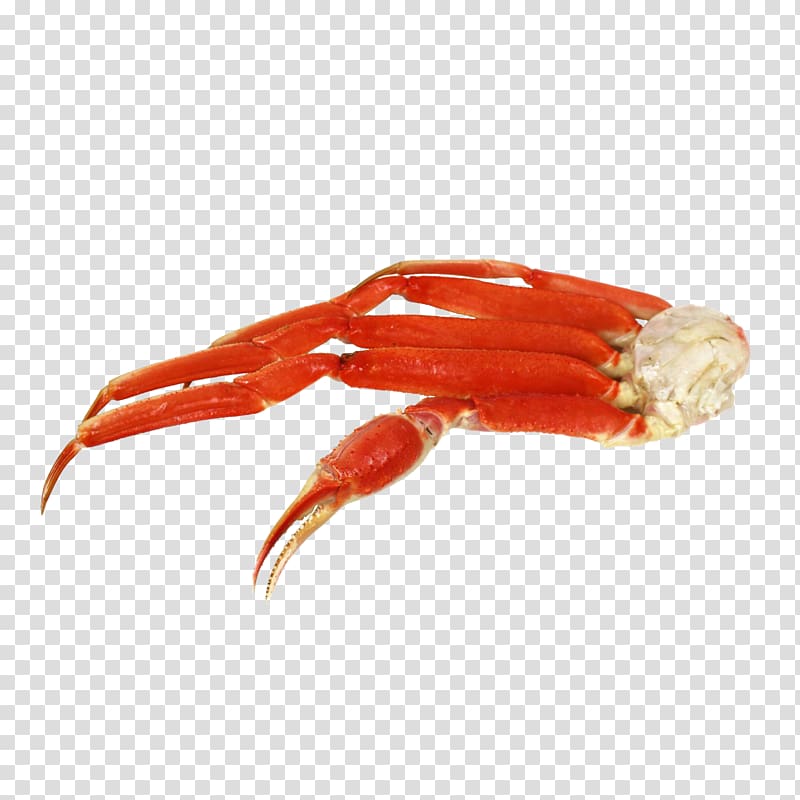 Snow crab Caridea Red king crab Food, crab transparent background PNG clipart