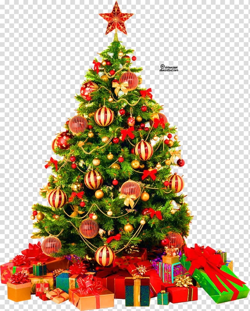 Christmas tree , Christmas present transparent background PNG clipart ...