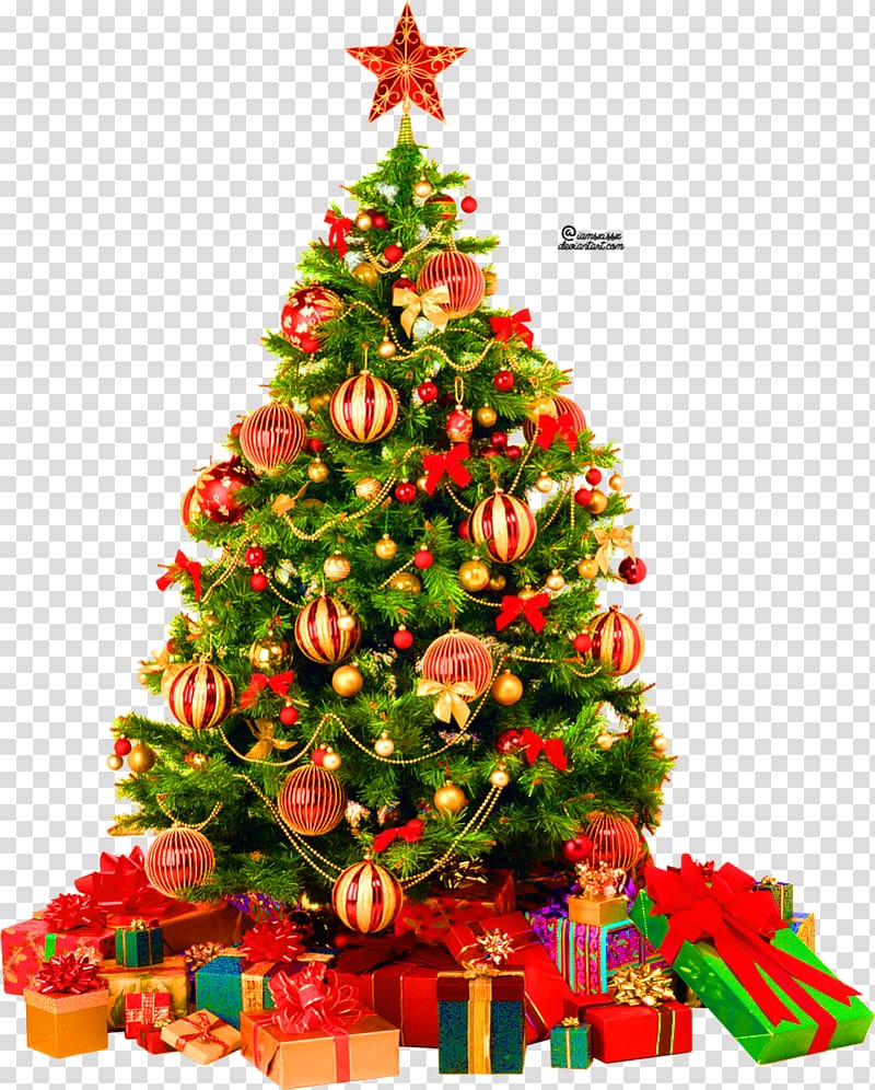 Christmas tree , Christmas present transparent background PNG clipart