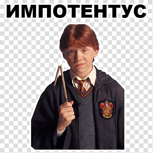 Ron Weasley Harry Potter and the Chamber of Secrets Rupert Grint Ginny Weasley Hermione Granger, Harry Potter transparent background PNG clipart