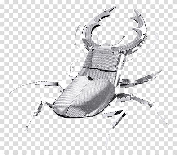 Beetle Metal Laser cutting Earth Scale Models, beetle transparent background PNG clipart