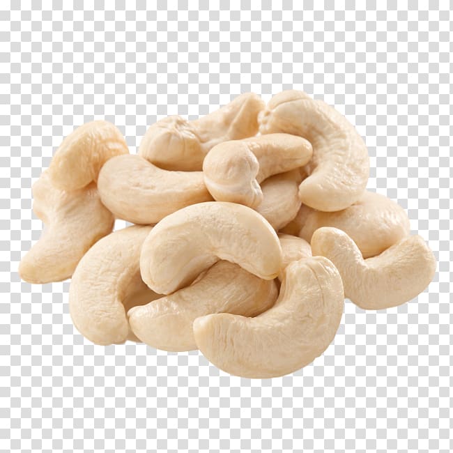 Cashew Korma Kaju barfi Raw foodism Nut, almond transparent background PNG clipart