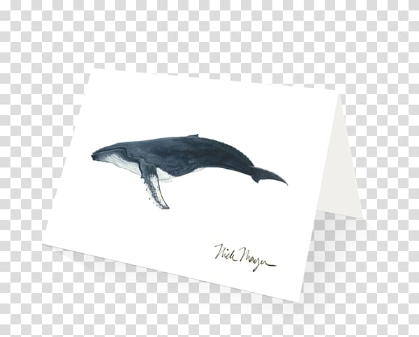 Dolphin Humpback whale Painting Cetaceans, Humpback Whale transparent background PNG clipart
