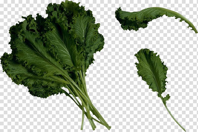 Saag Brassica juncea Mustard Marrow-stem Kale Food, Salad transparent background PNG clipart