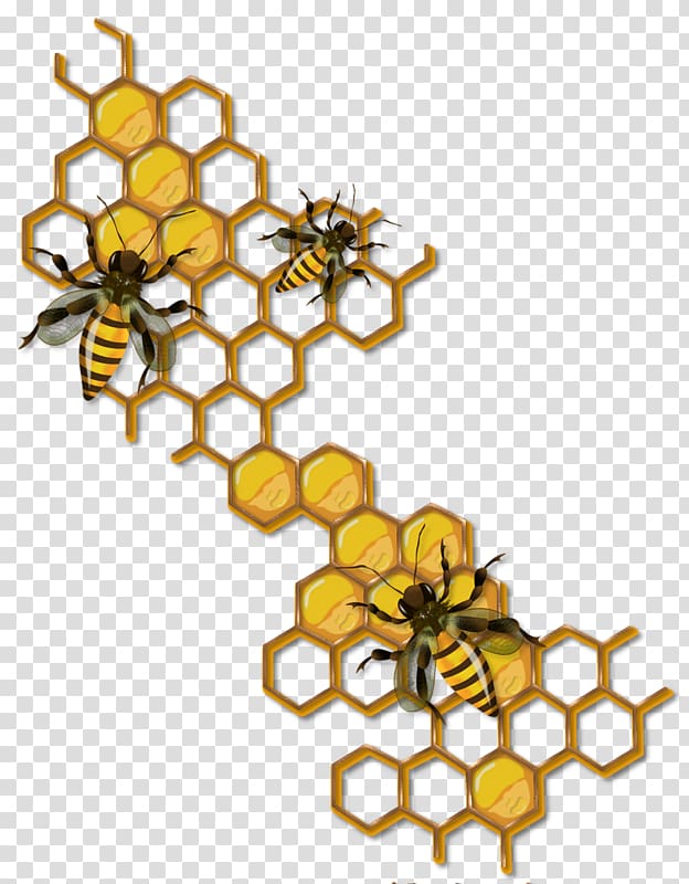 beehive illustration