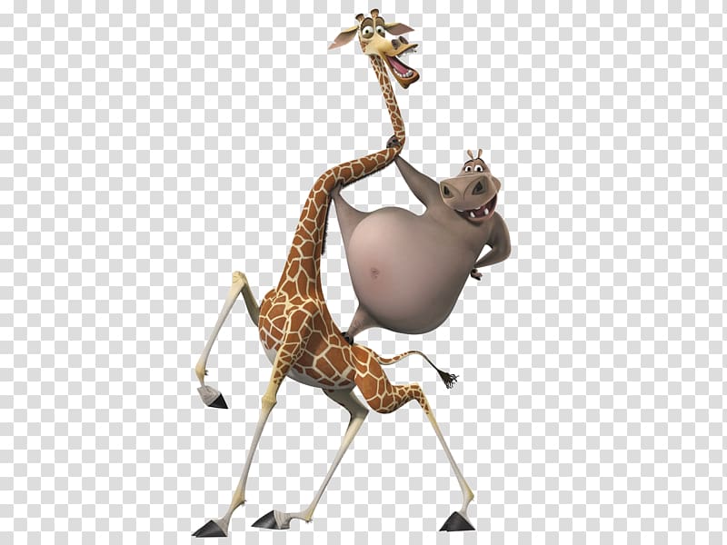 Melman Madagascar Animation Character Cartoon, Madagascar transparent background PNG clipart