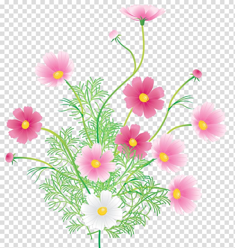 Argyranthemum frutescens Floral design Roman chamomile Wildflower Herbaceous plant, design transparent background PNG clipart