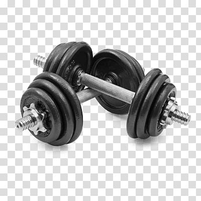 Weight training Fitness Centre Weight loss Personal trainer Dumbbell, dumbbell transparent background PNG clipart