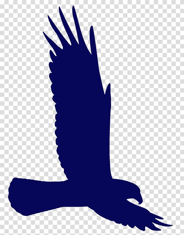 Bald Eagle Silhouette Drawing, School Hallway transparent background PNG clipart