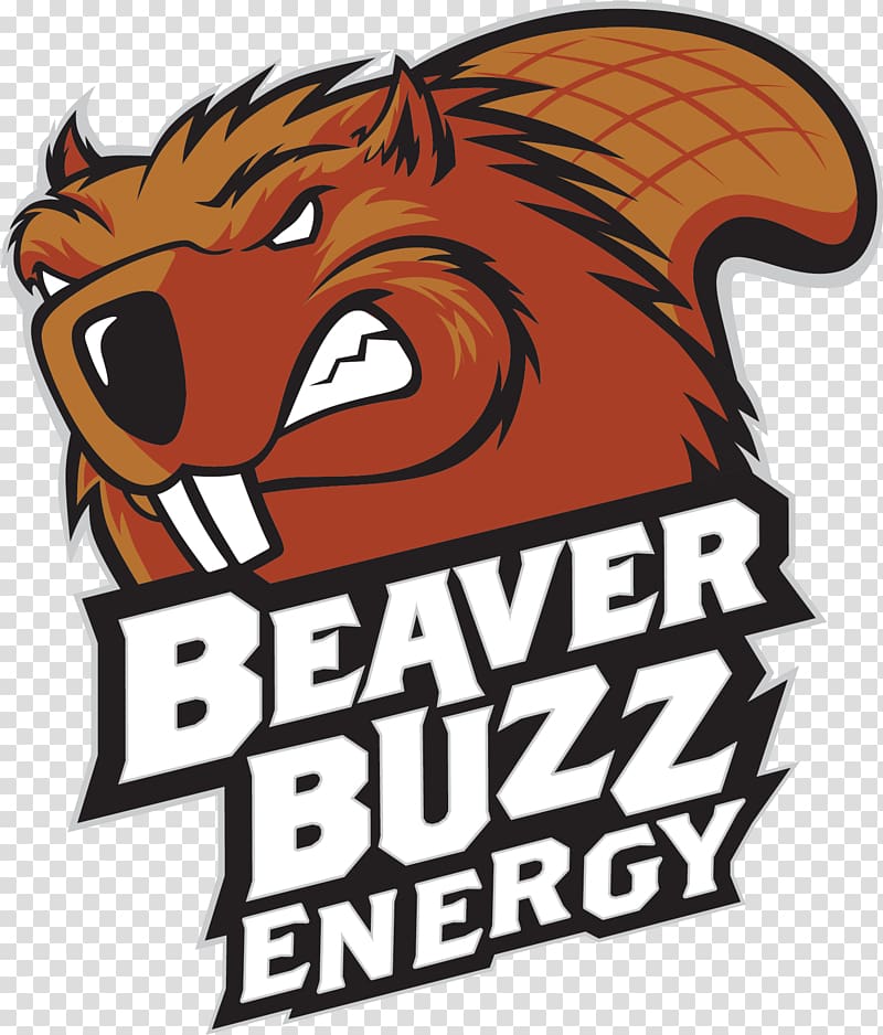 Beaver Buzz Energy drink Fizzy Drinks Root beer, beaver transparent background PNG clipart