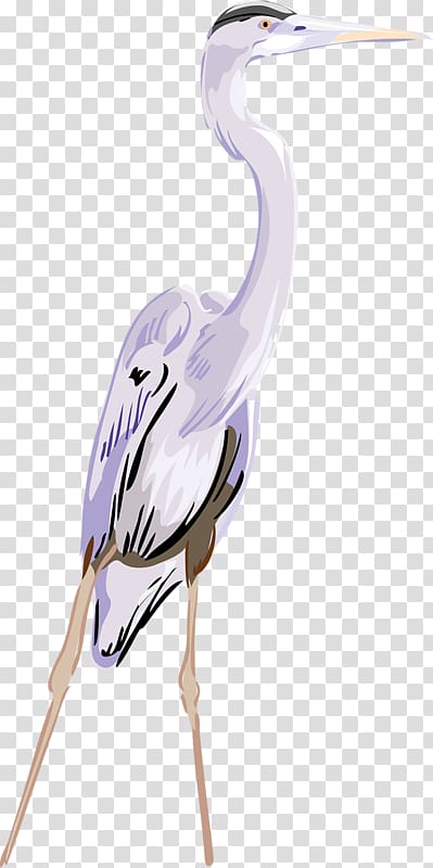 Crane Great egret , Cartoon crane transparent background PNG clipart