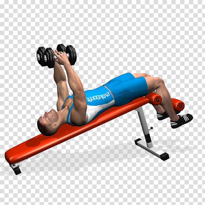 Physical fitness Bench Dumbbell Pectoralis major Fly, dumbbell transparent background PNG clipart