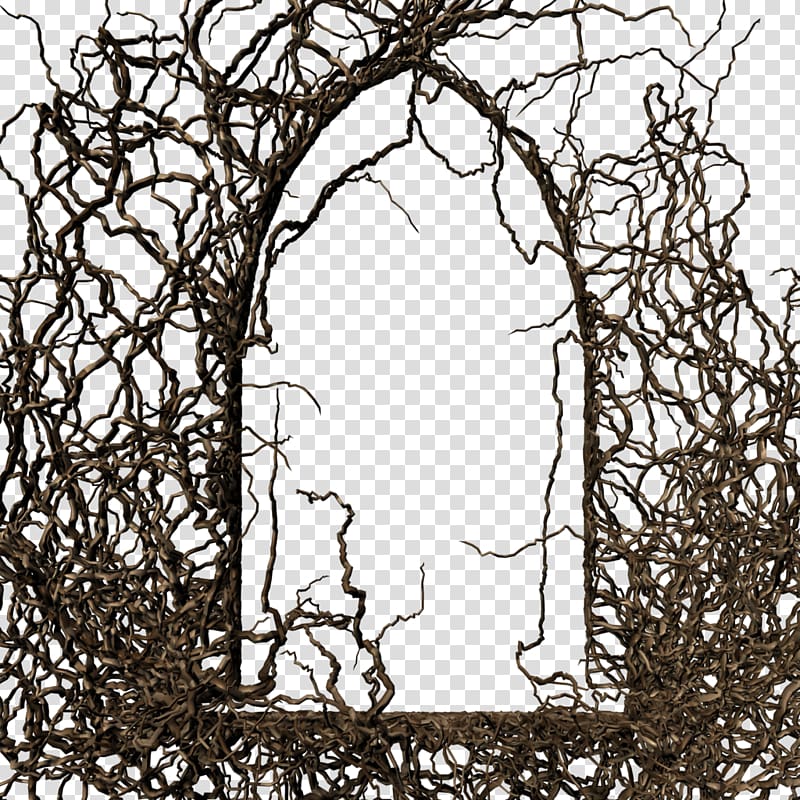Branch Tree frame Twig Evergreen, Tree door transparent background PNG clipart
