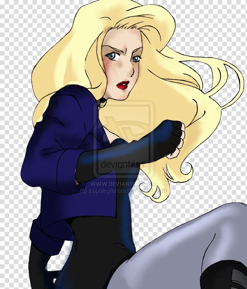 Black Canary Young Justice Superboy Batman Huntress, batman transparent background PNG clipart