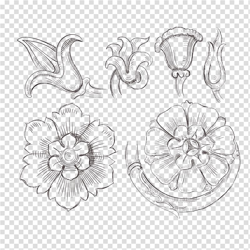 Drawing Line art Painting Sketch, Floral sketch material transparent background PNG clipart