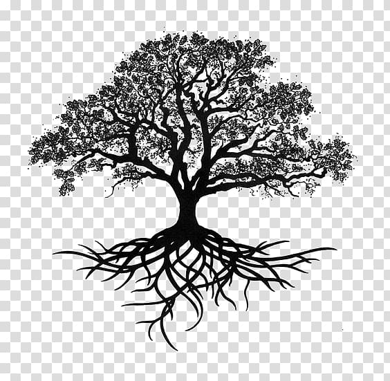 trees silhouette transparent background PNG clipart