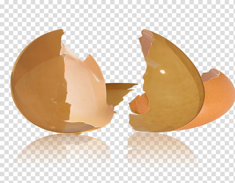 cracked egg shell clipart