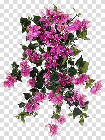 Pink petaled flower, Azalea Bougainvillea Artificial flower Shrub ...