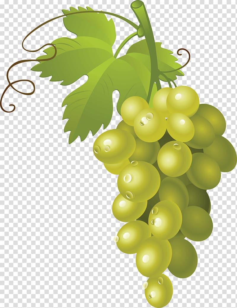 Grape seed extract , Grape transparent background PNG clipart
