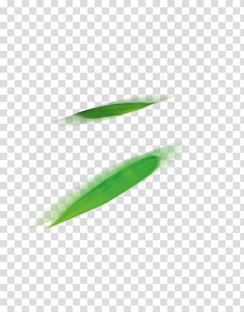 Zongzi , Fresh bamboo leaves transparent background PNG clipart