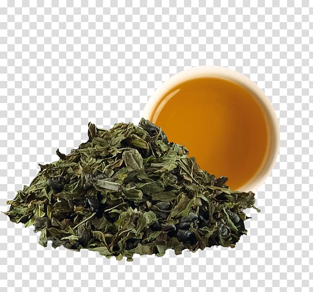 Green tea Gunpowder tea Tieguanyin Nilgiri tea, gunpowder transparent background PNG clipart