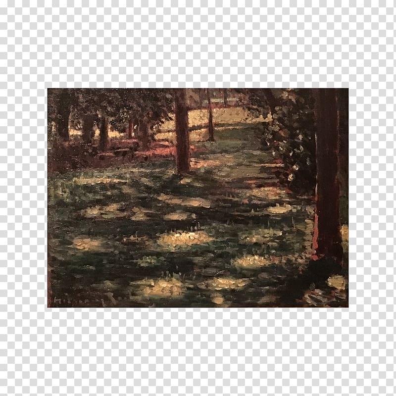 Woodland Landscape Sunlight Painting, wood transparent background PNG clipart