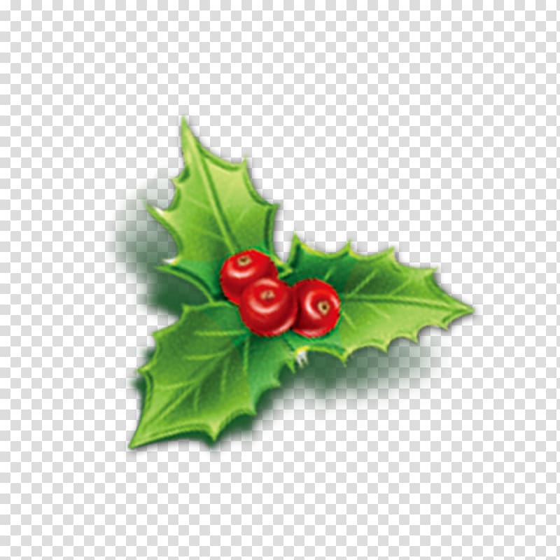 Holly Aquifoliales Christmas Mistletoe Icon, Cherry transparent background PNG clipart