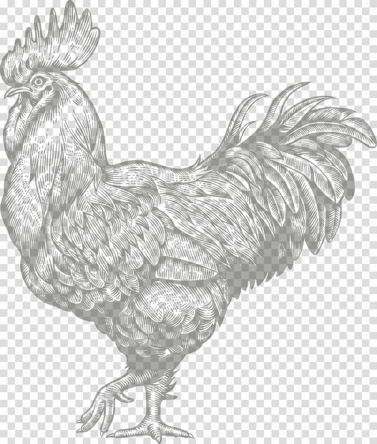 Rooster Chicken Engraving Farm, chicken transparent background PNG clipart