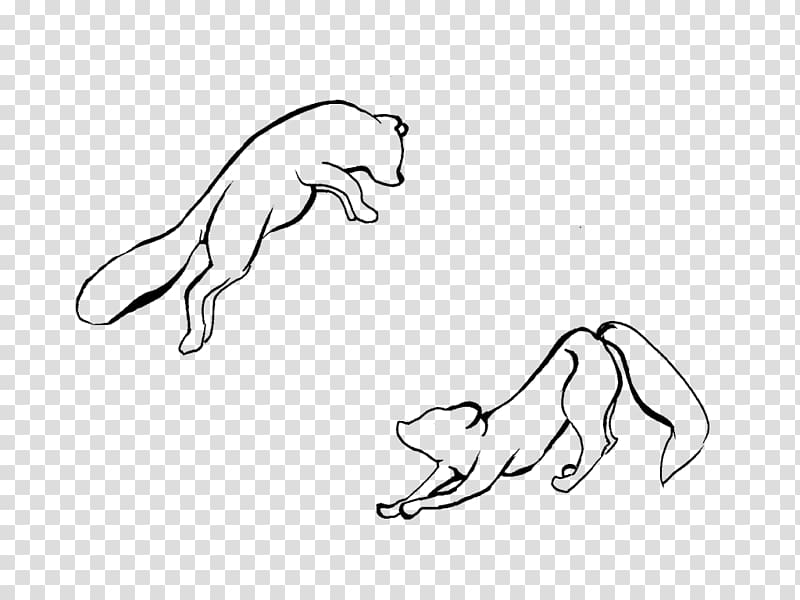 Dog Line art Drawing Sketch, Eurasian Lynx transparent background PNG clipart