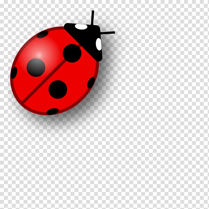 Pixabay , Ladybug transparent background PNG clipart