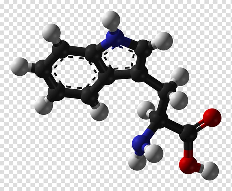 Tryptophan Amino acid Phenylalanine Stereoisomerism, others transparent background PNG clipart