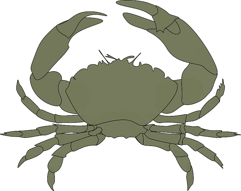 Chesapeake blue crab , Free Crab transparent background PNG clipart