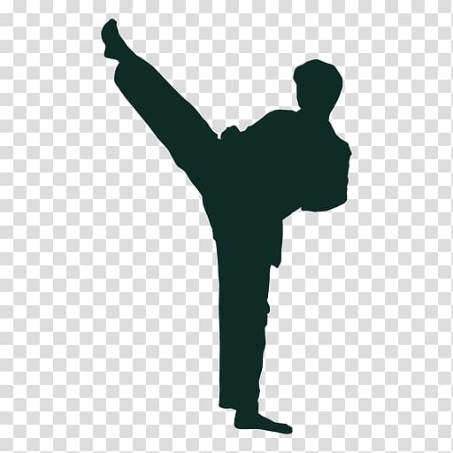 Karate transparent background PNG clipart