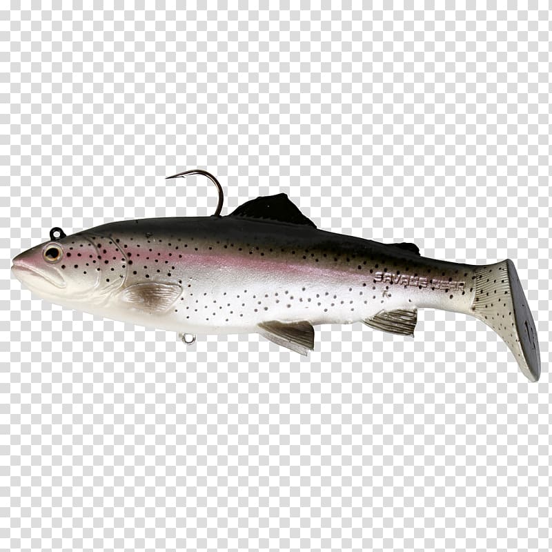 Brown trout Rainbow trout 3D modeling Fishing, trout transparent background PNG clipart