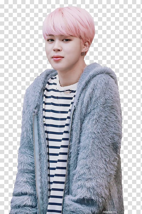 Jimin BTS Spring Day, Japanese Version Wings, wings transparent background PNG clipart