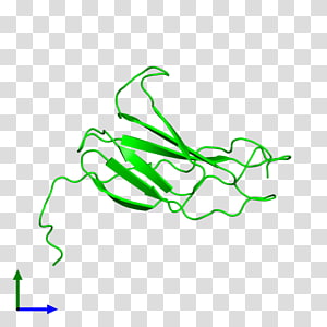 Leaf Line art , Leaf transparent background PNG clipart thumbnail