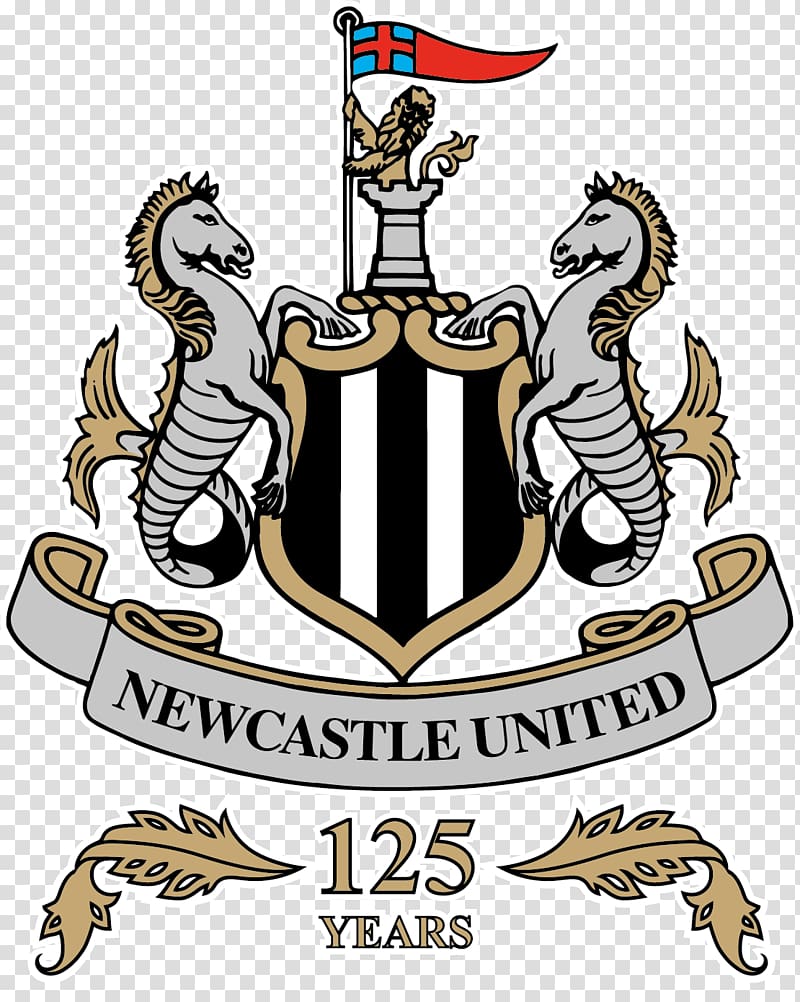 Newcastle United F.C. Premier League Tottenham Vs Fulham Tickets Dream League Soccer Football, premier league transparent background PNG clipart