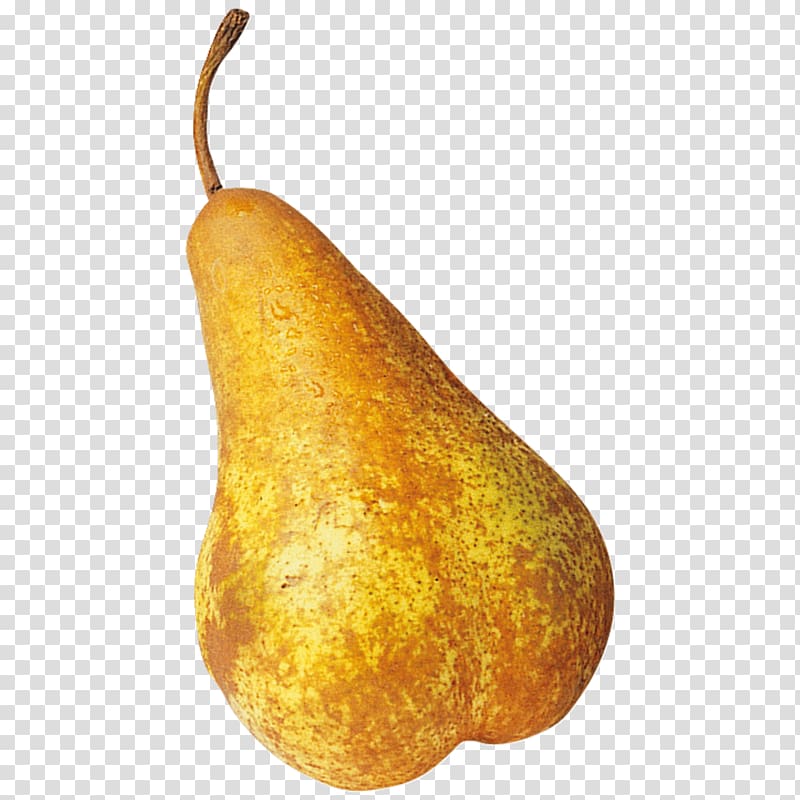 Williams pear Abate Fetel REWE Group, pear transparent background PNG clipart