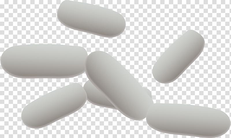 Bacteria E. coli , Bacteria transparent background PNG clipart