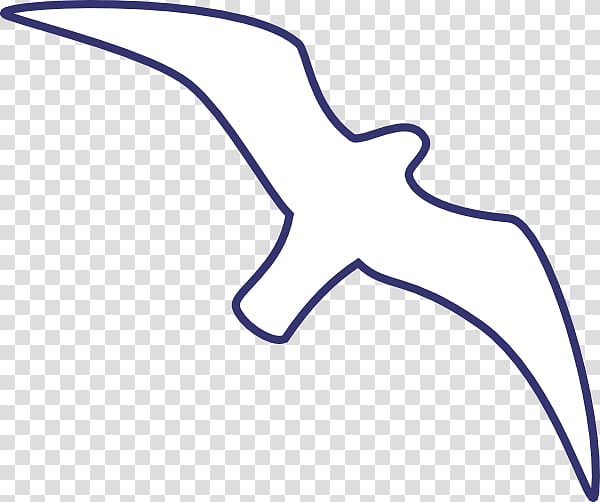 Gulls Line art Drawing Bird , seagull transparent background PNG clipart