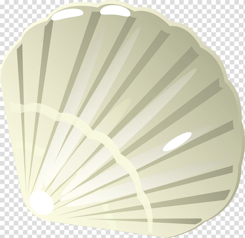 Euclidean Seashell, Seashells modified material transparent background PNG clipart