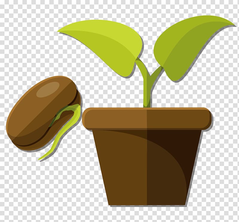 Snow pea Flowerpot Seed, Pea seeds and potted plants material transparent background PNG clipart